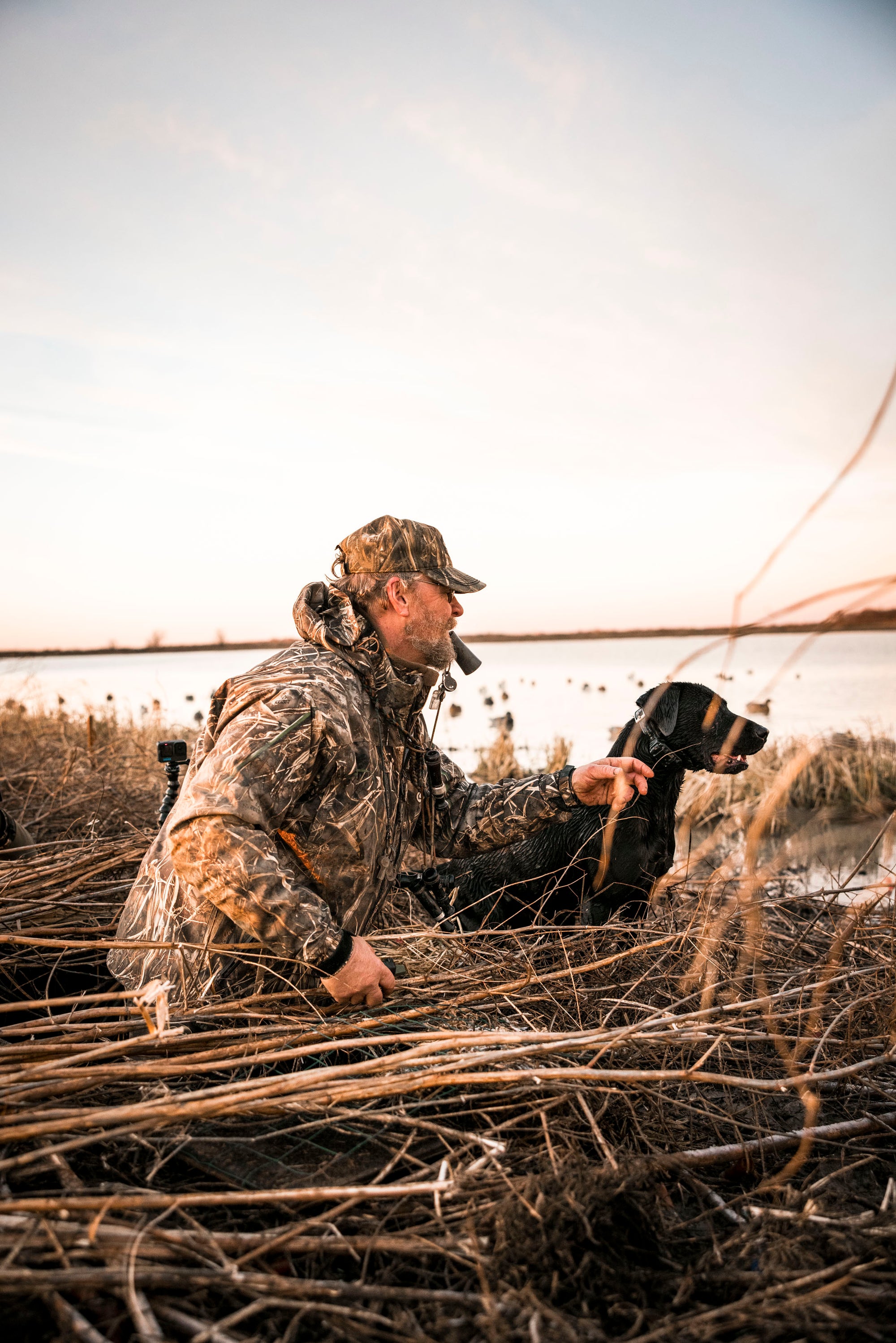 Drake Waterfowl
