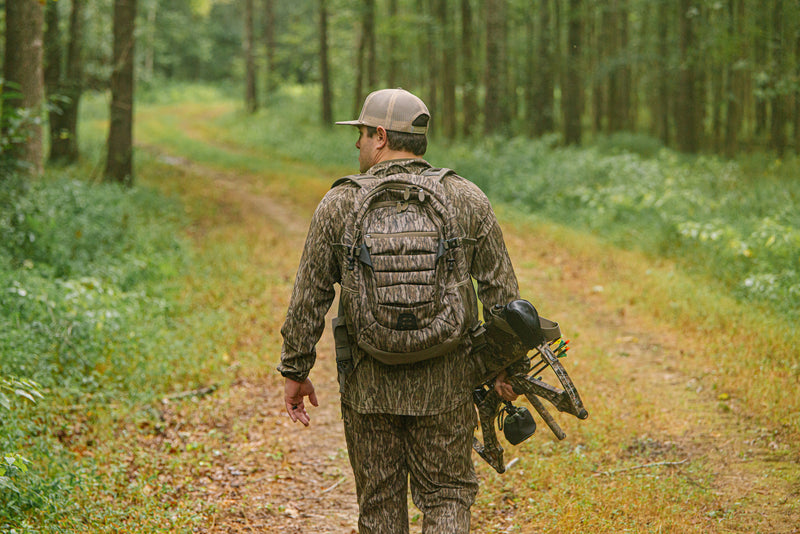 The Call Of The Wild
