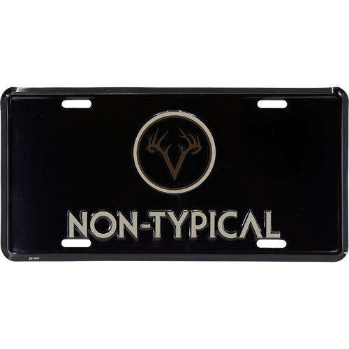 Non-Typical License Plate