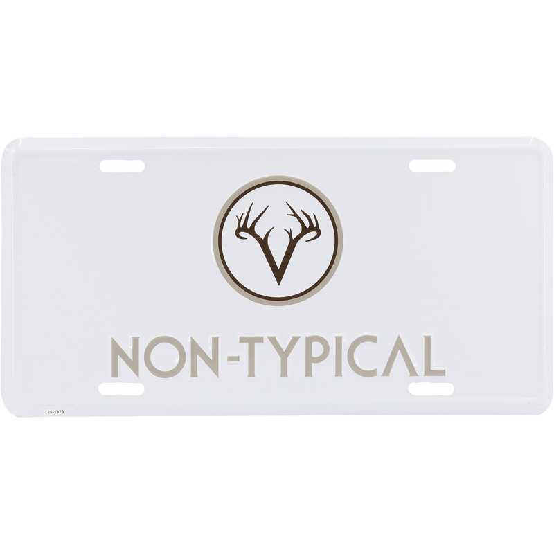 Non-Typical License Plate