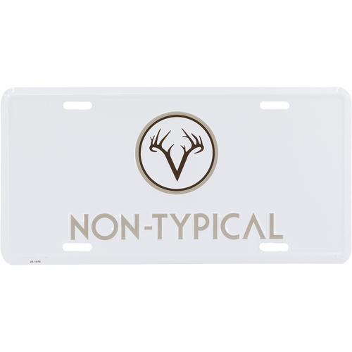 Non-Typical License Plate