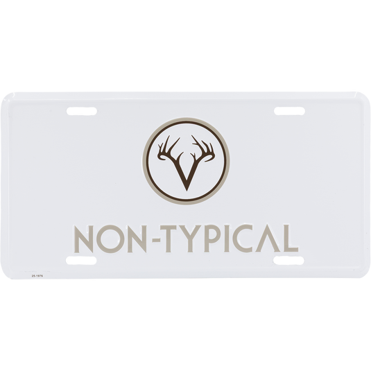 Non-Typical License Plate