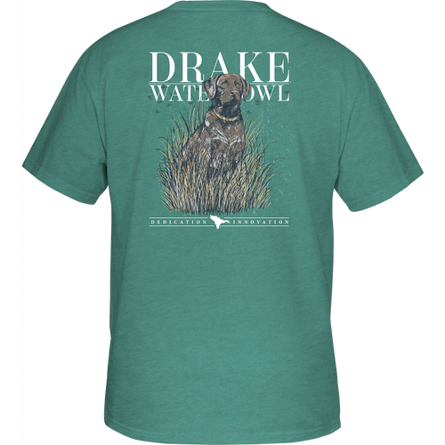 Chocolate Lab T Shirt by Drake Waterfowl