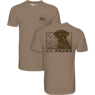 Chocolate Lab T-Shirt