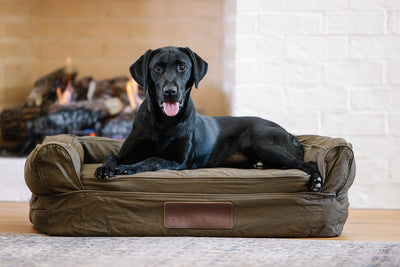 Black Labrador resting on a Team Gun Dog Landing Zone Premium Canvas Dog Couch with a DRAKE label, next to a lit fireplace on hardwood flooring.