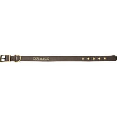 Team Gun Dog Adjustable Webbed Collar with metal buckle, D-ring, and five adjustment eyelets, featuring DRAKE woven near the buckle, ideal for training and walking.