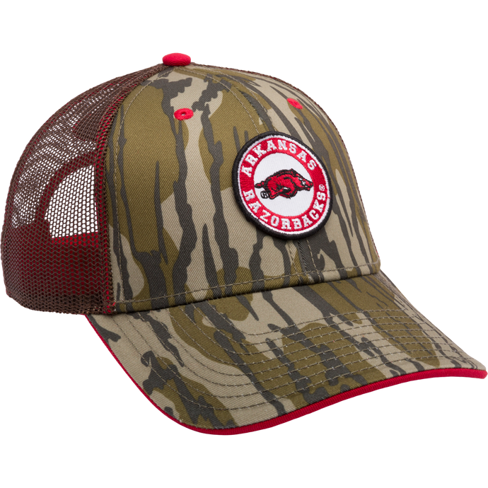 A structured Arkansas Bottomland Mesh Back Cap by Drake Waterfowl, featuring Mossy Oak Bottomland Camo pattern, embroidered college logo, and adjustable snap-back closure.