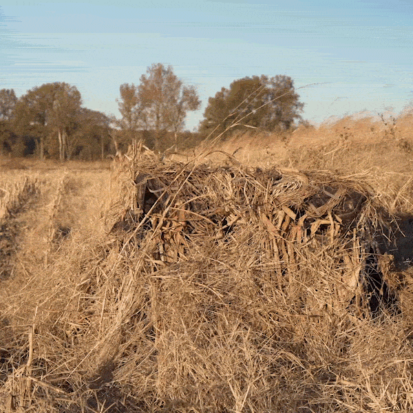 Ghillie 4-Man Blind with No-Shadow Dual Action Top, adjustable legs, front gate, and rear exits in rugged HD2™ material.
