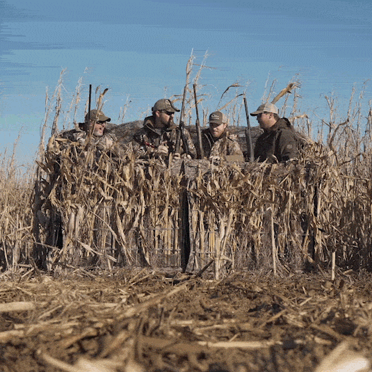 A group of men in a field using the Ghillie 4-Man Blind with No-Shadow Dual Action Top for hunting.